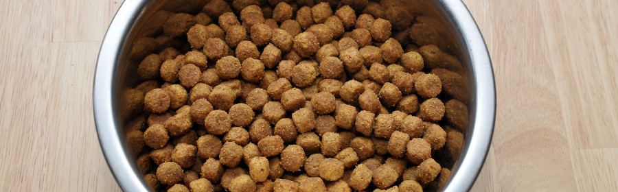 aafco food the about the aafco food st of approval project pawsitivity aafco food the about the aafco food st of approval project pawsitivity