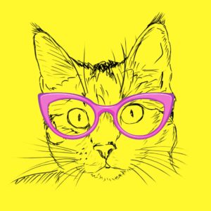 gifts for cat lovers