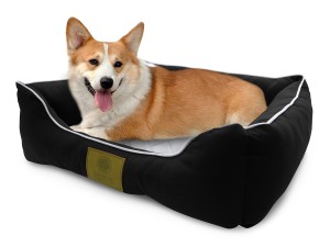 dog bed