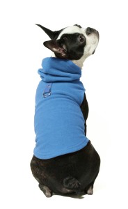 dog sweater