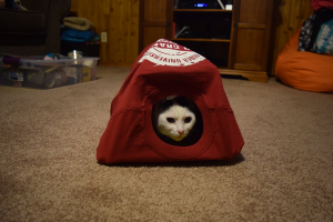 DIY Cat Tent