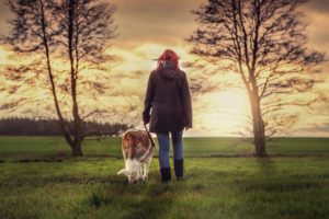 5 Reasons To Take Your Dog For A Walk