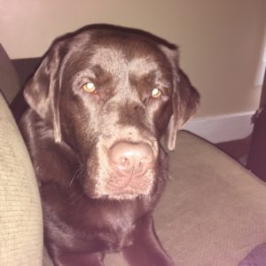 Coco