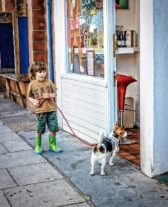 dog friendly stores