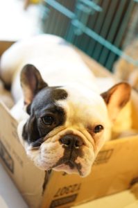 Tips for Moving