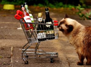 spoiled pets