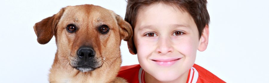 4 Tips on Introducing Dogs and Kids