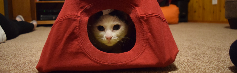 DIY Cat Tent