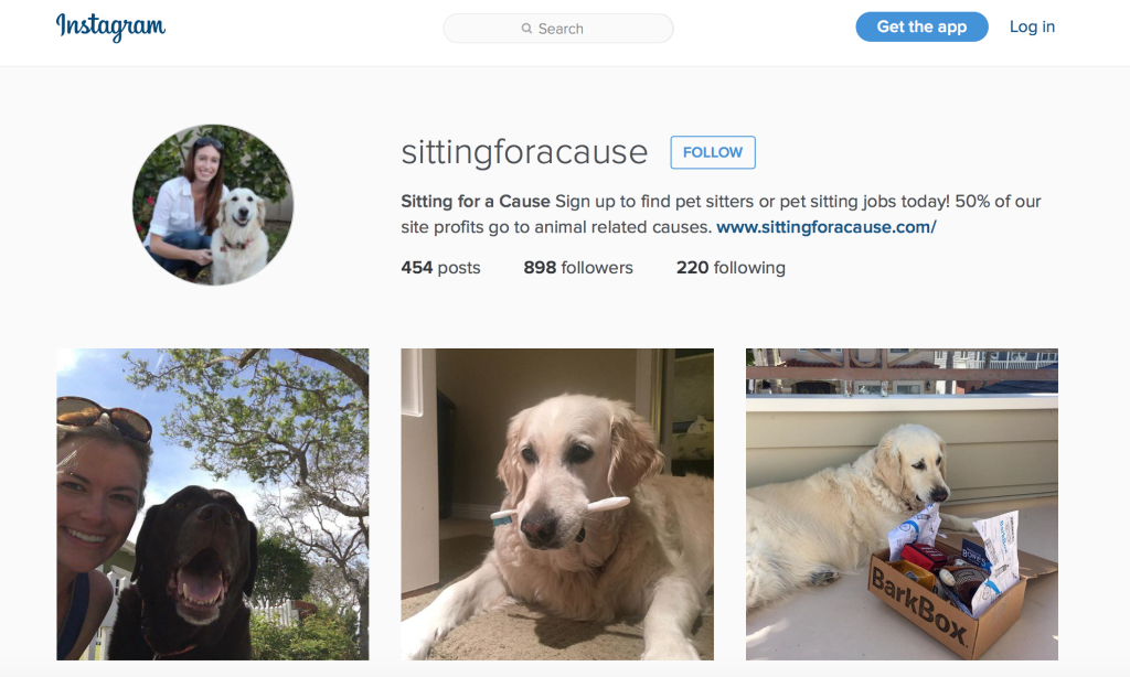 5 Pawesome Pet Instagram Accounts You Must Follow Project Pawsitivity