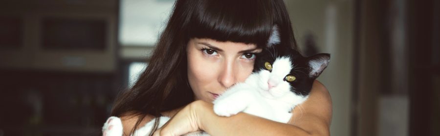 5 Ways to Improve Your Relationship with Your Cat