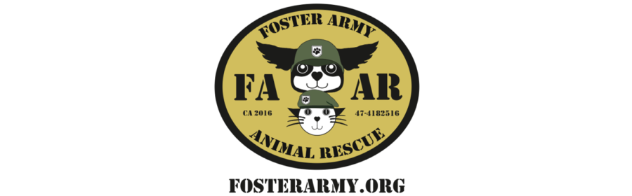 Foster Army Animal Rescue