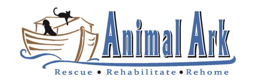 Rescuing, Rehabilitating, and Rehoming Minnesota Pets: Animal Ark – Project  Pawsitivity