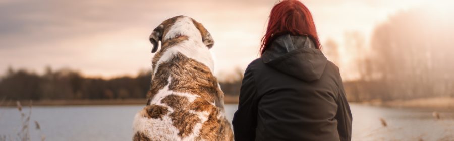 Dog and Girl