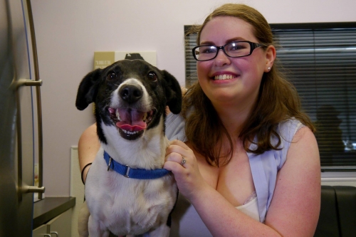 All Critter Sitters profile picture